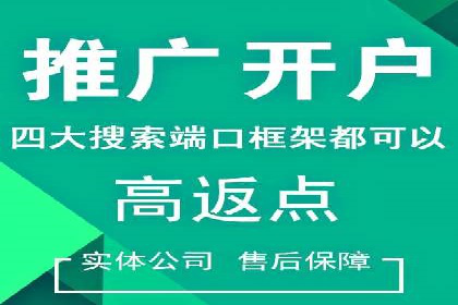 实战经验：SEM网络推广打造行业领军品牌